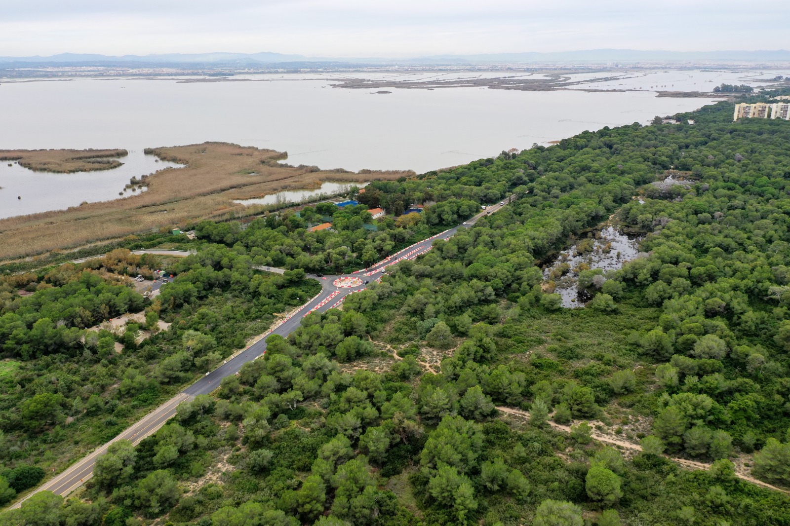 L’Albufera. Vista aérea del bosque de la Devesa y de la Mata del Fang.